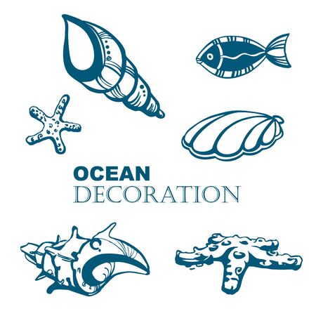 Set of ocean decoration. Shell.のイラスト素材