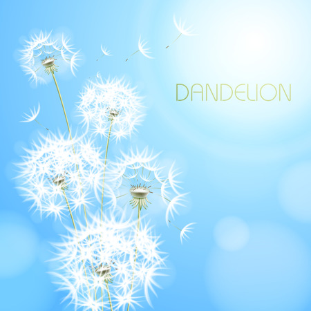 Blue light background with flower dandelion.のイラスト素材