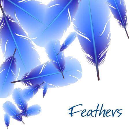 Colorful feather backgroundのイラスト素材