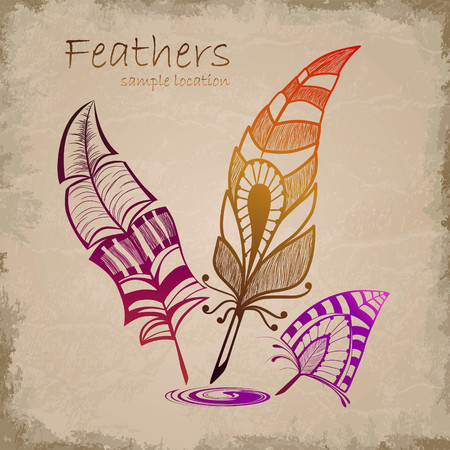 Set of decorative feathersのイラスト素材