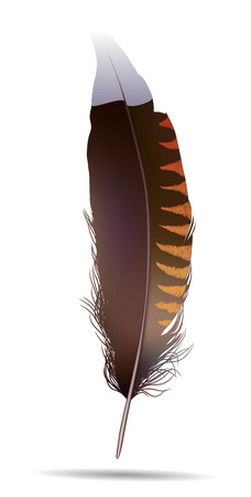 Realistic featherのイラスト素材