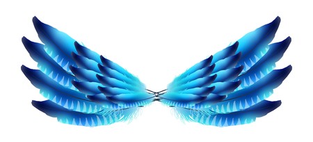 Realistic feathers. Wingsのイラスト素材