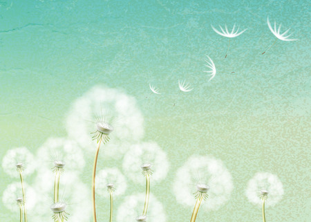 Vintage background with flower dandelionのイラスト素材