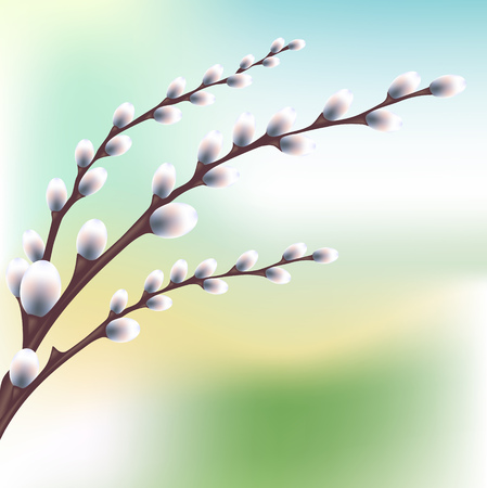 Happy Easter background. Brunch of pussy-willowのイラスト素材