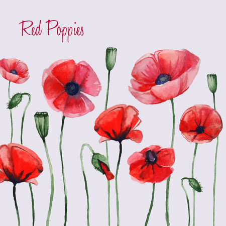 Watercolor red poppiesのイラスト素材