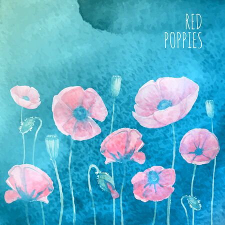 Waterolor red poppies on blue backgroundのイラスト素材