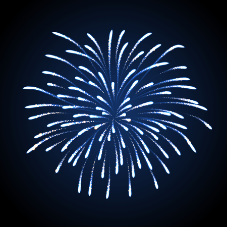 Vector holiday firework. Independence dayのイラスト素材