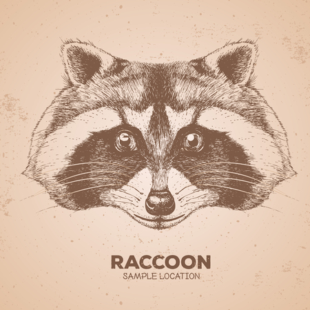 Hipster animal raccoon. Hand drawing Muzzle of animal raccoonのイラスト素材