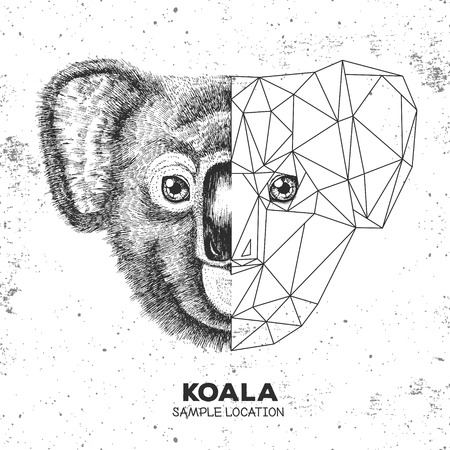 Hipster animal realistic and polygonal koala faceのイラスト素材