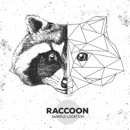 Hipster animal realistic and polygonal raccoon faceのイラスト素材