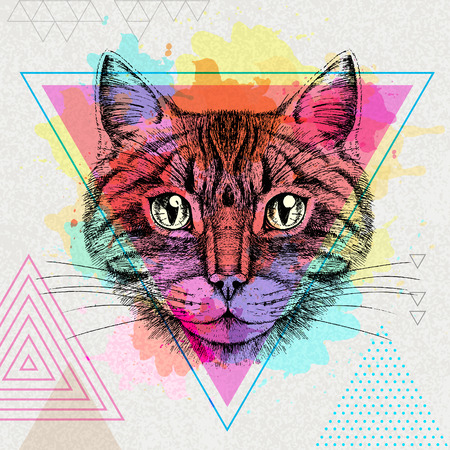 Hipster animal cat on an organic polygon watercolor backgroundのイラスト素材