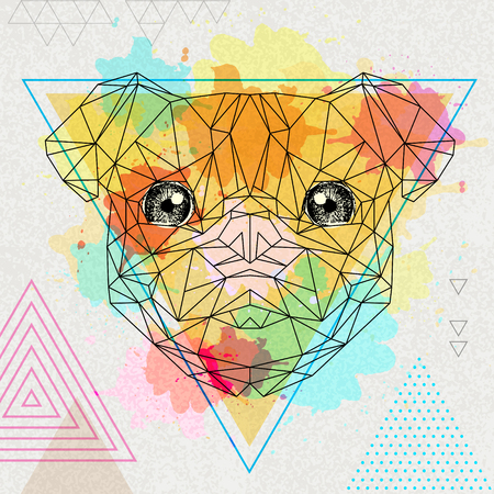 Hipster polygonal animal pug on  backgroundのイラスト素材
