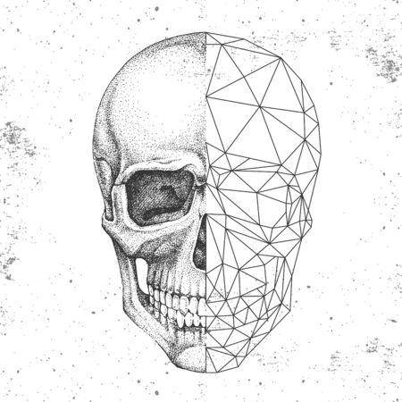 Hipster realistic and polygonal skull on grunge backgroundのイラスト素材