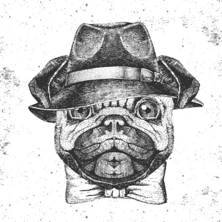 Hipster animal pug-dog with hat. Hand drawing Muzzle of animal pug-dogのイラスト素材