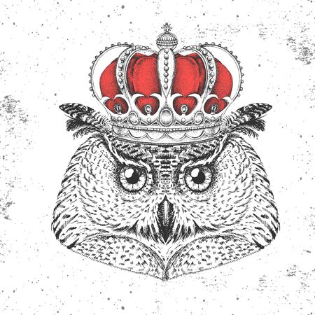 Hipster bird owl in crown. Hand drawing Muzzle of bird owlのイラスト素材