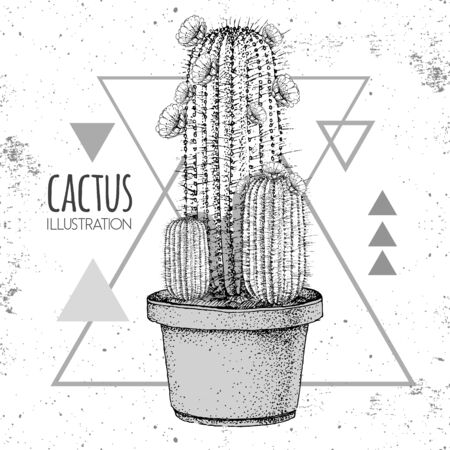 Hand drawing cactus vector illustration on grunge triangle backgroundのイラスト素材