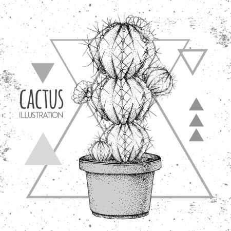 Hand drawing cactus vector illustration on grunge triangle backgroundのイラスト素材