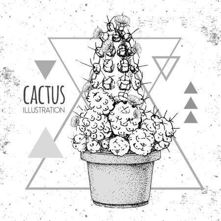 Hand drawing cactus vector illustration on grunge triangle backgroundのイラスト素材