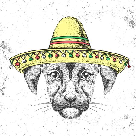 Hipster animal dog wearing a sombrero hat. Hand drawing Muzzle of dogのイラスト素材