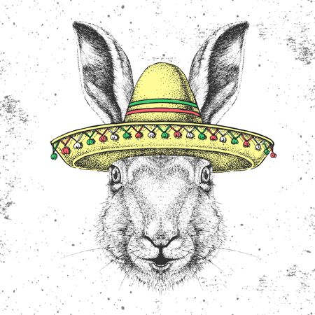 Hipster animal rabbit wearing a sombrero hat. Hand drawing Muzzle of rabbitのイラスト素材