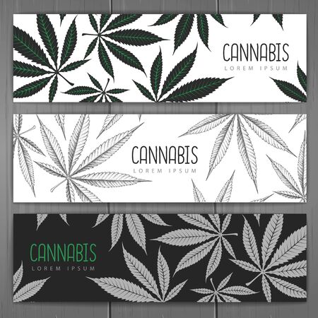Set of banners with cannabis leaves. Corporate identity design.のイラスト素材