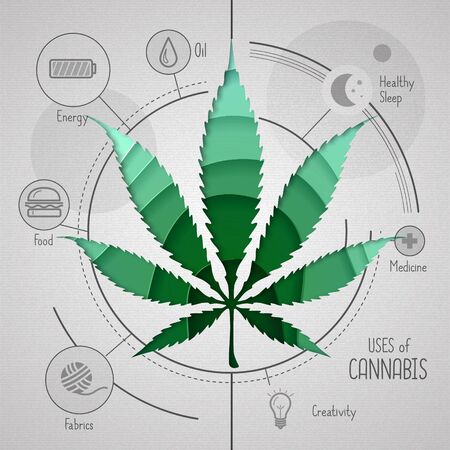 Hand drawing realistic illustration of cannabis leaf. Many uses of cannabis. Infographic. Cut out paper designのイラスト素材