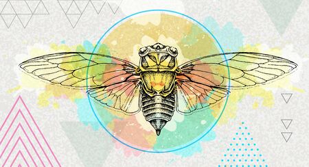 Realistic cicada illustration on artistic polygon watercolor background. Astrology zodiac signのイラスト素材