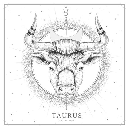 Modern magic witchcraft card with astrology Taurus zodiac sign. Realistic hand drawing bull headのイラスト素材