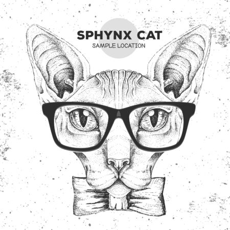 Hipster animal head of sphynx cat. Hand drawing Muzzle of sphynx catのイラスト素材