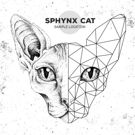 Hipster animal realistic and polygonal sphynx cat face on grunge background.のイラスト素材