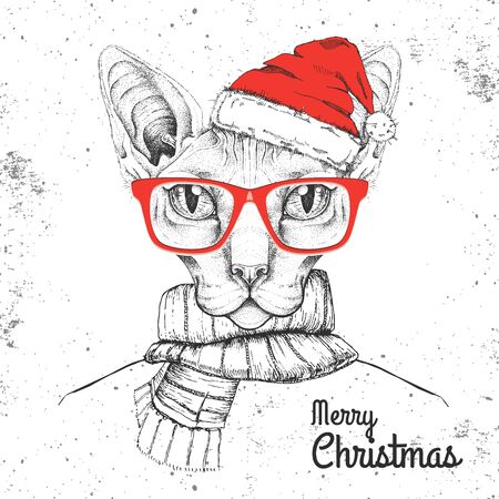 Christmas Hipster fashion animal sphynx cat dressed in New Year hat and scarfのイラスト素材
