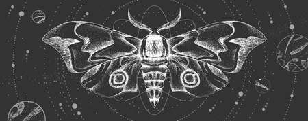 Modern magic witchcraft card with solar system and butterfly. Hand drawing occult vector...