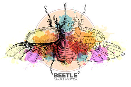 Realistic hand drawing and polygonal rhinoceros beetle on watercolor background. Artistic Bug. Entomological vector illustrationのイラスト素材