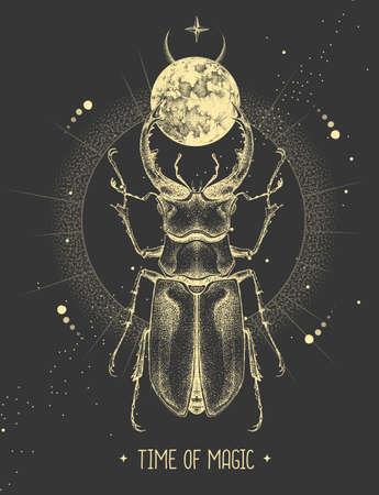 Modern magic witchcraft card with moon and stag beetle. Hand drawing occult vector illustrationのイラスト素材