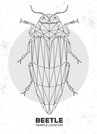 Abstract polygonal triangle Belionota tricolor beetle. Artistic Bug. Entomological vector illustrationのイラスト素材