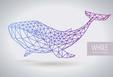 Hipster polygonal whale silhouette.のイラスト素材