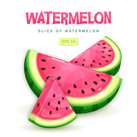 Set of watermelon slices isolated on white background. Vector watermelon illustrationのイラスト素材