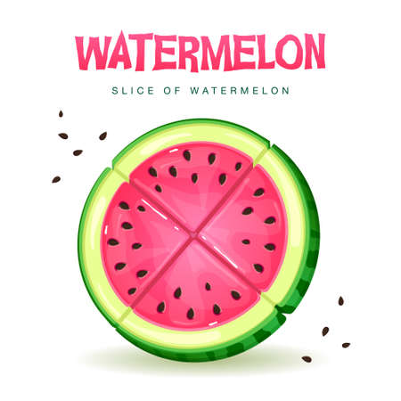 Set of watermelon slices isolated on white background. Vector watermelon illustrationのイラスト素材