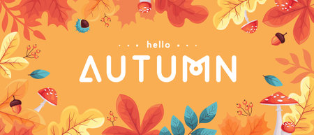 Hello Autumn seasonal  banner with leaves, mushrooms, floral elements and autumn attributes. Vector illustrationのイラスト素材