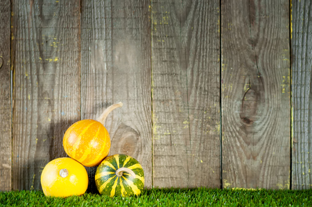 Small decorative striped pumpkins near wooden boards.の写真素材