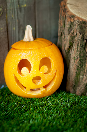 funny halloween pumpkin on green grass with an old stumpの写真素材