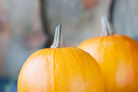 Two pumpkins lie on wooden boardの写真素材