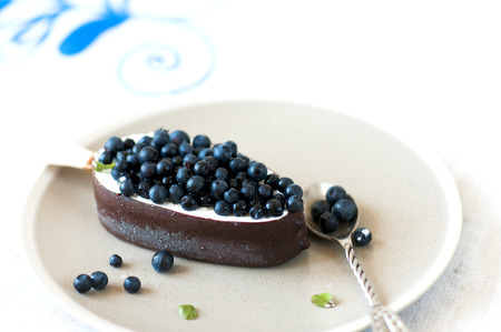 Ice cream with chocolate glaze on plate garnished with fresh blueberries.の写真素材