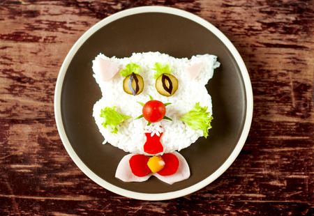 Baby rice dish in the form of a cat.の写真素材