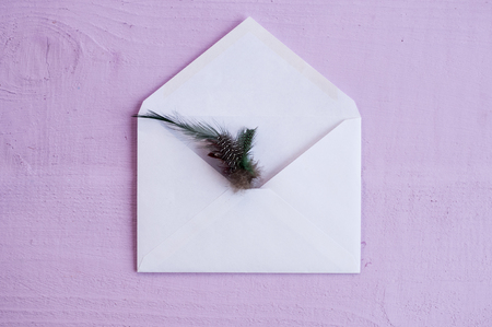 Multicolored feather in a white open envelope flat lay on a purple backgroundの写真素材