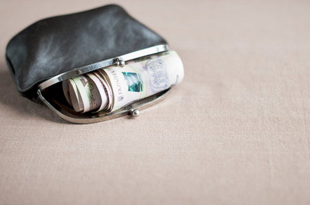 Ukrainian hryvnia in a vintage brown purse, free space for text.の写真素材