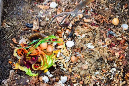 Compost pit for organic scraps, for fertilizing plants in the garden
