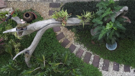 Garden road, look from the top.の写真素材