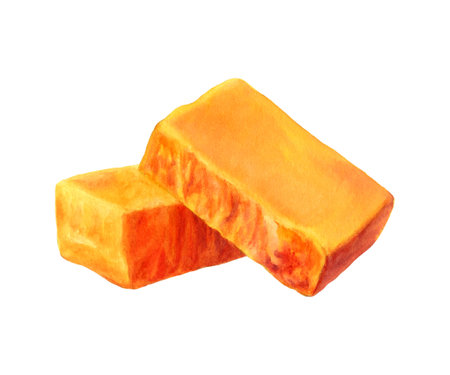 Piece of Cheddar cheese isolated on white background. Watercolor illustration.の写真素材