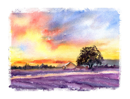 Provence landscape lavender field with sunset, watercolor illustration. Mediterranean landscape. Hand drawn watercolor template for poster, cardの写真素材